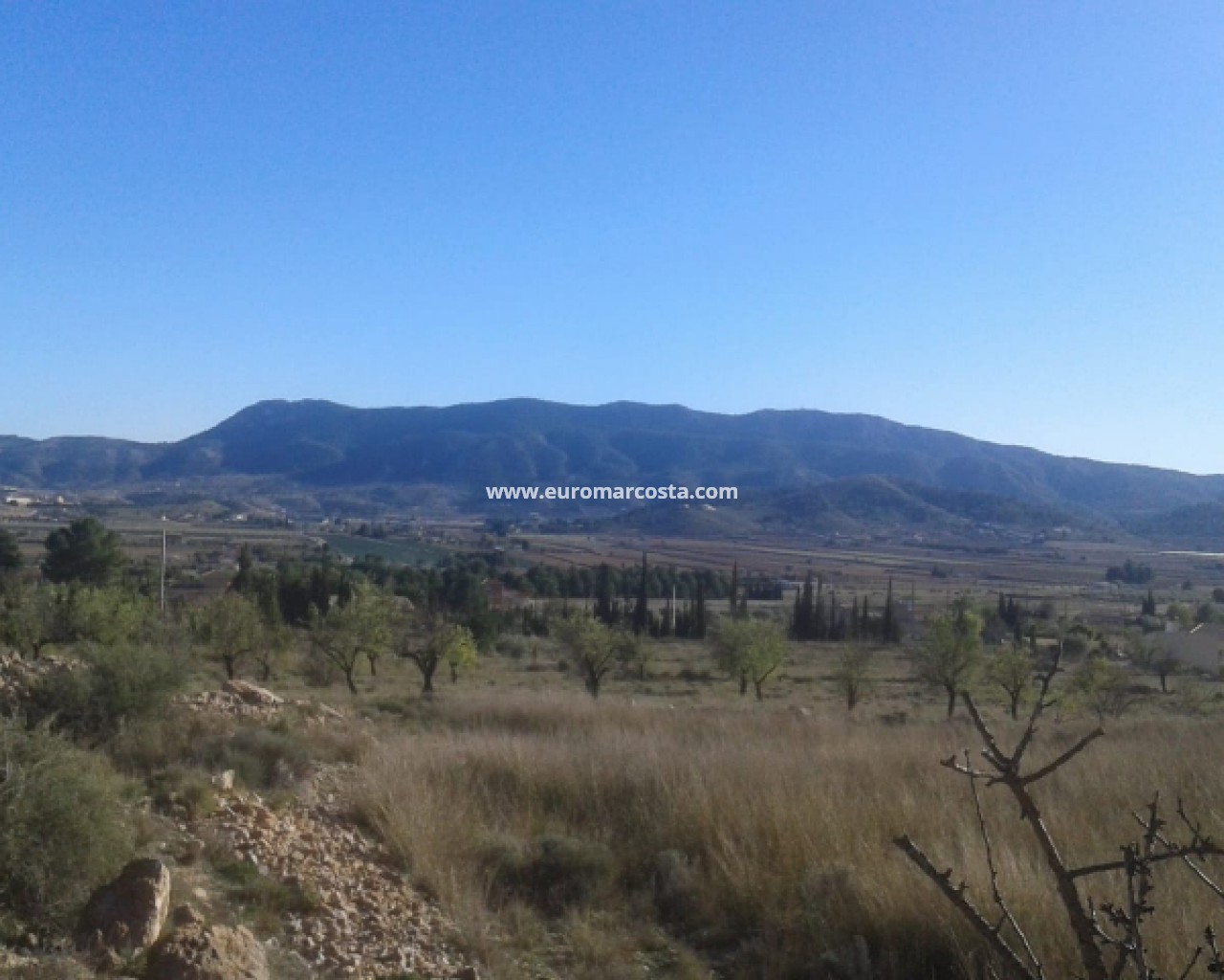 Land · Venta · Hondón de las Nieves · SO-45745