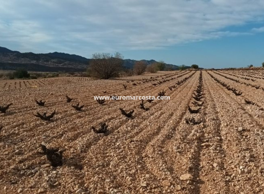 Sale - Land - Murcia