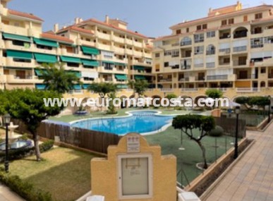 Apartamento / piso - Alquiler a corto plazo - Torrevieja - Torrelamata - La Mata