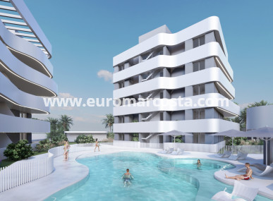Apartamento / piso - Nueva construcción  - Guardamar del Segura - Guardamar del Segura