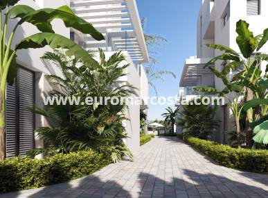 Apartamento / piso - Nueva construcción  - Torre-Pacheco - Torre-Pacheco