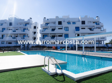 Apartamento / piso - Nueva construcción  - Torre-Pacheco - Torre Pacheco