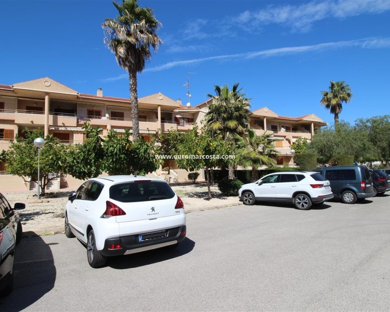 Apartamento / piso · Venta · Guardamar del Segura · 3996