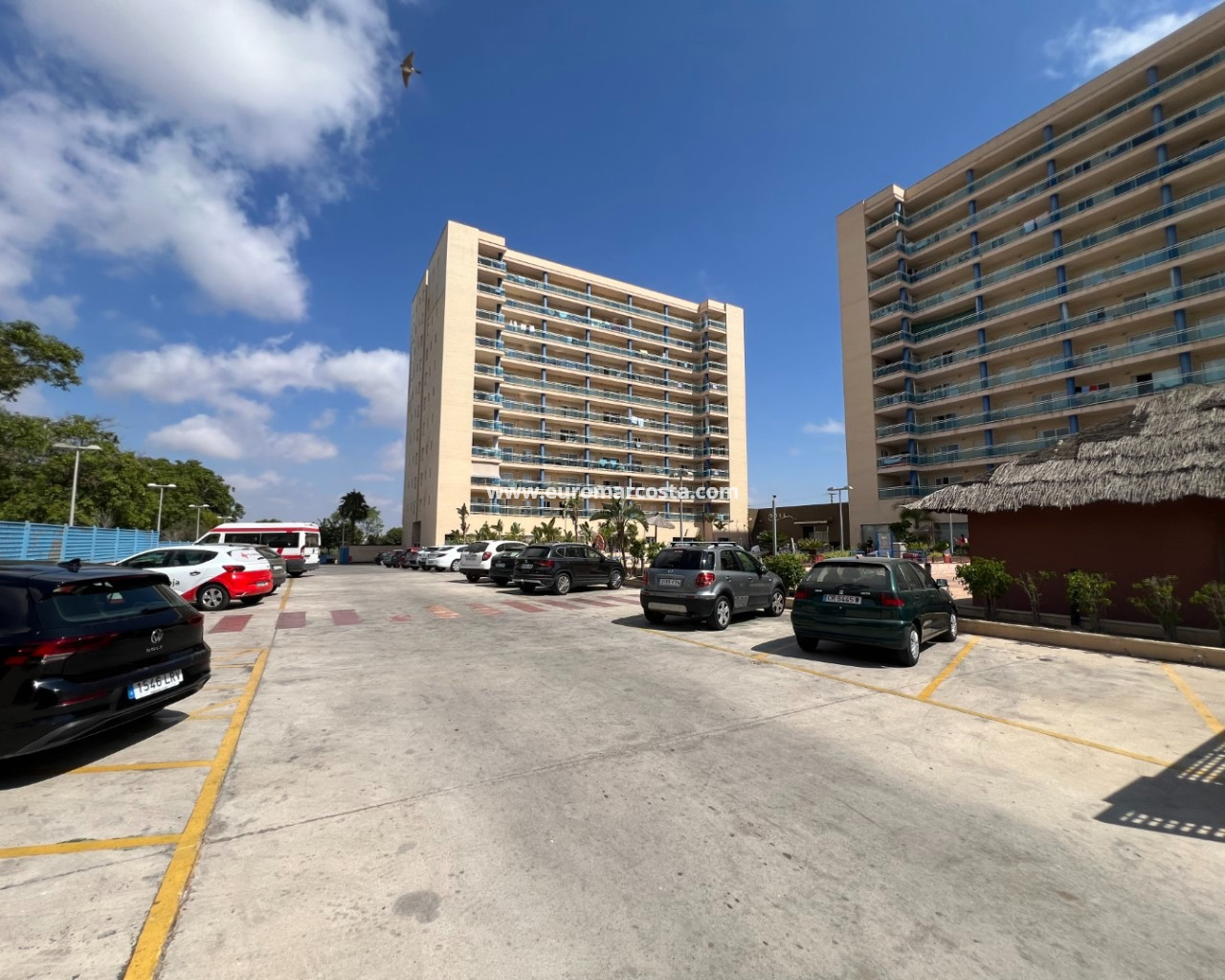 Apartamento / piso · Venta · Guardamar del Segura · 4428