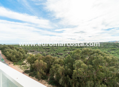 Apartamento / piso - Venta - Guardamar del Segura - Puerto Deportivo