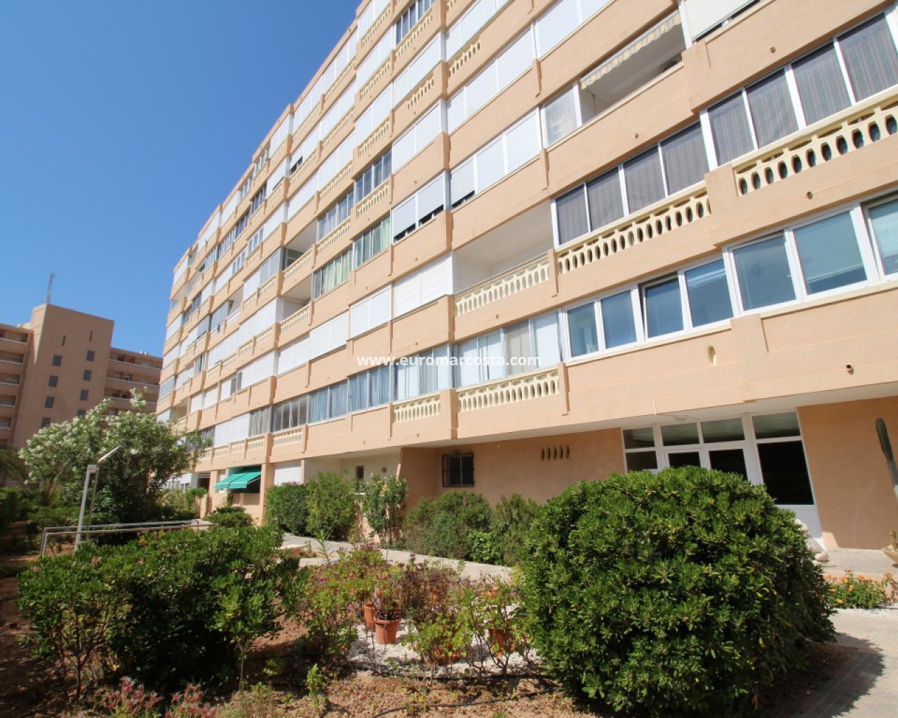 Apartamento / piso · Venta · La Mata · 4294