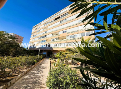 Apartamento / piso - Venta - La Mata - La Mata