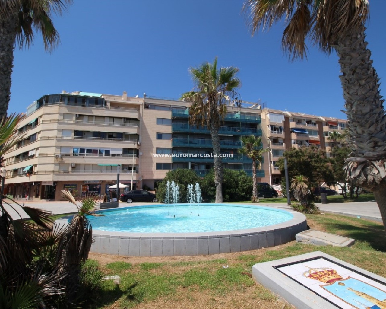 Apartamento / piso · Venta · Torrevieja · 3799