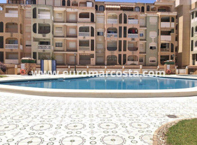 Apartamento / piso - Venta - Torrevieja - TORREVIEJA