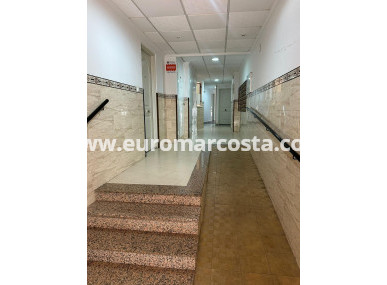 Apartamento / piso - Venta - Torrevieja - TORREVIEJA