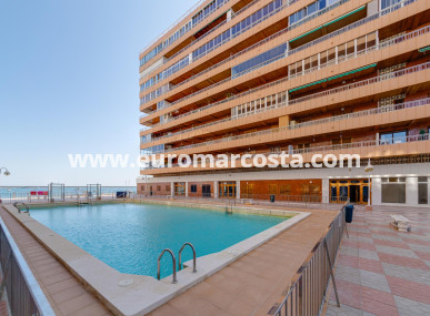 Apartamento / piso - Venta - Torrevieja - TORREVIEJA