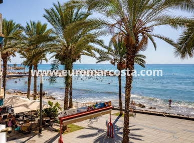 Apartamento / piso - Venta - Torrevieja - TORREVIEJA