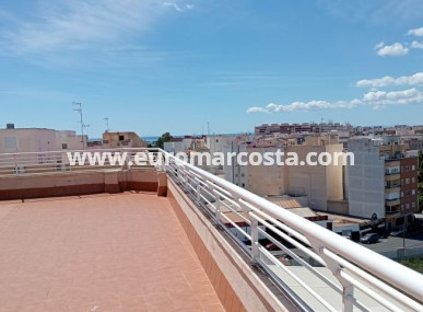 Apartamento / piso - Venta - Torrevieja - TORREVIEJA
