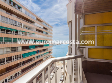 Apartamento / piso - Venta - Torrevieja - TORREVIEJA
