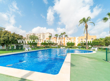 Apartamento / piso - Venta - Torrevieja - TORREVIEJA