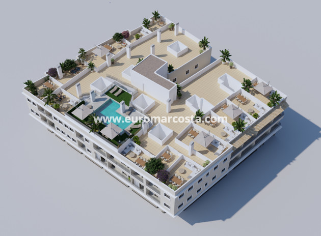 Apartment / flat · New Build · Algorfa · Algorfa