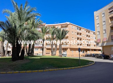 Apartment / flat - Sale - Guardamar del Segura - Guardamar del Segura