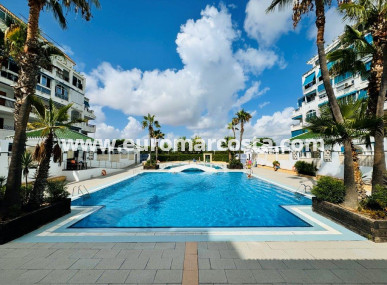 Apartment / flat - Sale - La Mata - La Mata