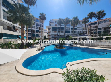 Apartment / flat - Sale - La Mata - La Mata