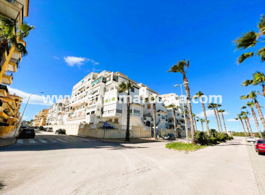 Apartment / flat - Sale - La Mata - La Mata