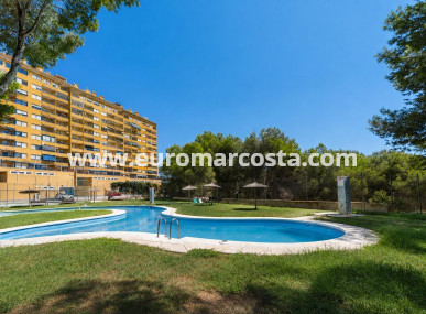 Apartment / flat - Sale - Orihuela Costa - Orihuela Costa