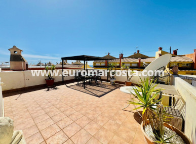 Apartment / flat - Sale - Torrevieja - TORREVIEJA