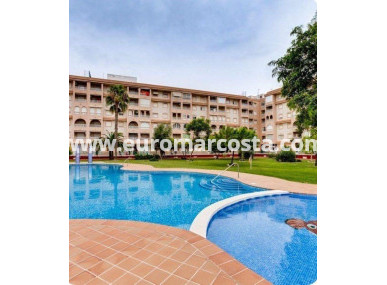 Apartment / flat - Sale - Torrevieja - TORREVIEJA