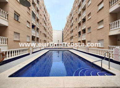 Apartment / flat - Sale - Torrevieja - TORREVIEJA