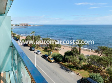 Apartment / flat - Sale - Torrevieja - TORREVIEJA