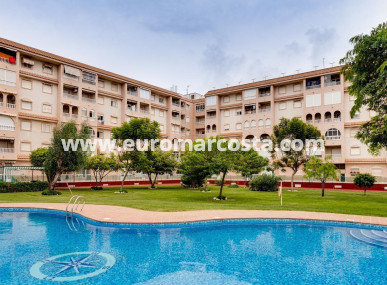 Apartment / flat - Sale - Torrevieja - TORREVIEJA