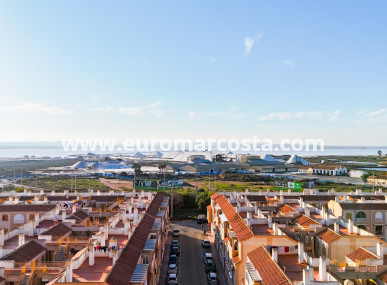 Apartment / flat - Sale - Torrevieja - TORREVIEJA