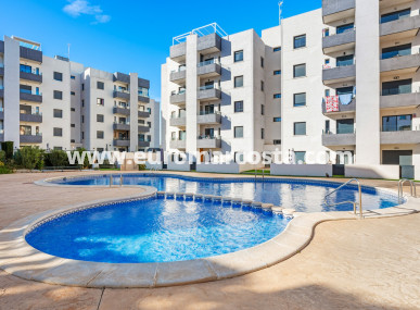 Apartments - Sale - San Miguel de Salinas - San Miguel