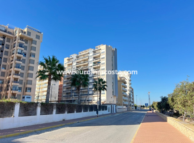 Ático Dúplex · Objekte zum Wiederverkauf · Guardamar del Segura · Guardamar del Segura