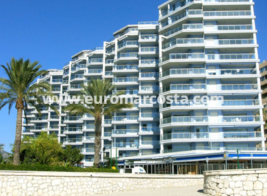 Ático - Nueva construcción  - Calpe - Calpe