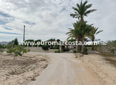 Casa de campo - Venta - Albatera - Albatera