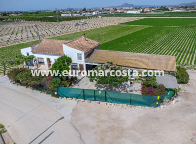Casa de campo - Venta - Orihuela - Desamparados-Hurchillo-Torremendo