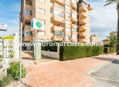 Commercial - Long time Rental - Orihuela Costa - Orihuela Costa