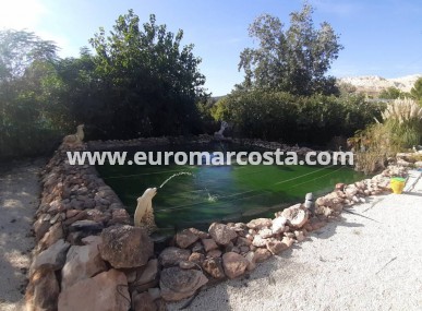 Country house - Sale - Algueña - casco urbano