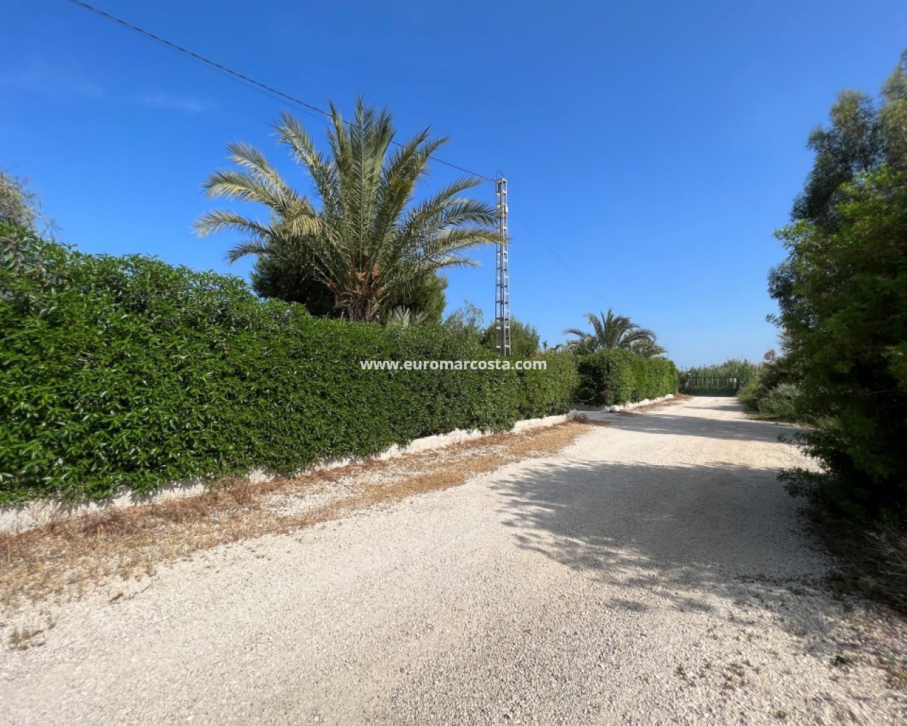 Country house · Sale · Elche Pedanías · 4104
