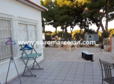 Country house - Sale - Torrevieja - TORREVIEJA