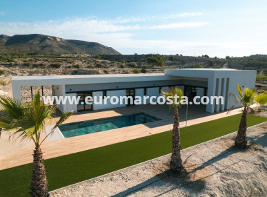 detached - Nueva construcción  - Pinoso - Pinoso