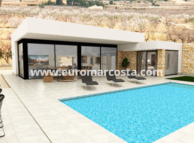 detached - Nueva construcción  - Pinoso - Pinoso