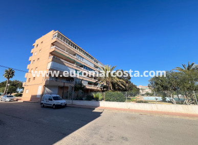 Estudio - Venta - Guardamar del Segura - Guardamar del Segura