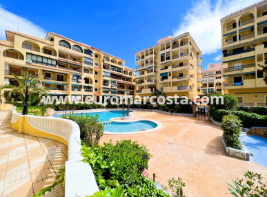 Estudio - Venta - La Mata - La Mata