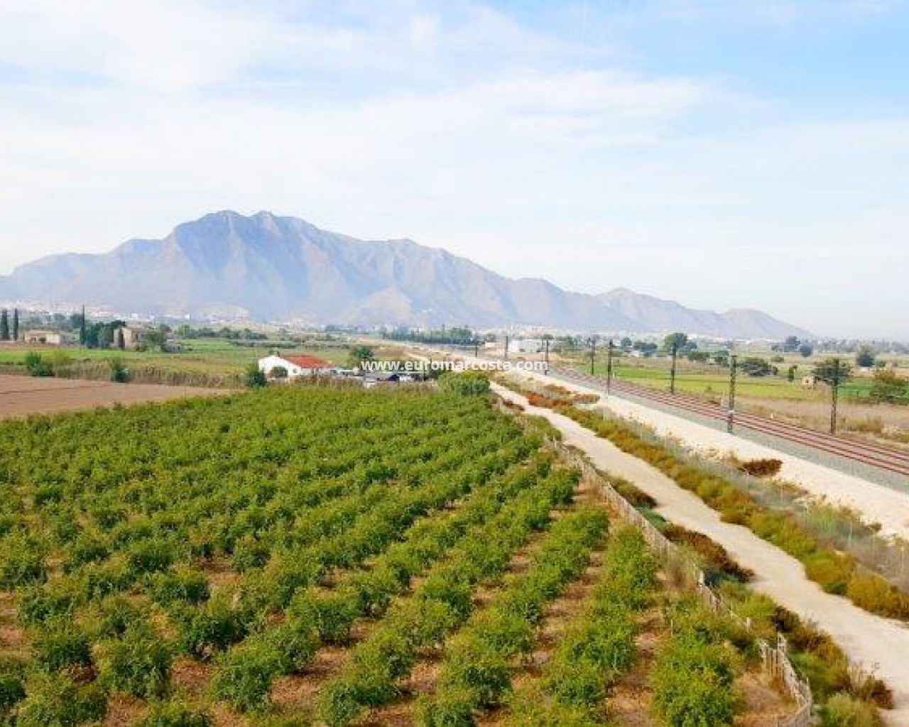 Finca · Sale · Callosa De Segura · S-62492