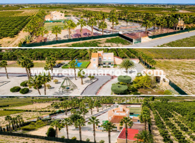 Finca - Venta - Elche Pedanías - Elche/Elx