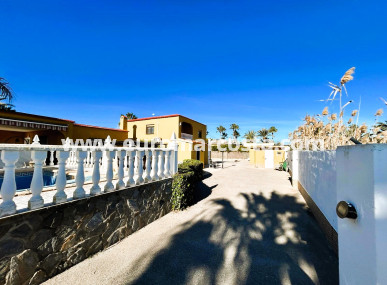 Finca - Venta - La Marina - La Marina
