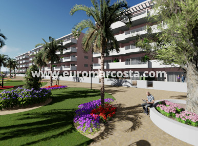 ground-floor - Nueva construcción  - Guardamar del Segura - Guardamar del Segura