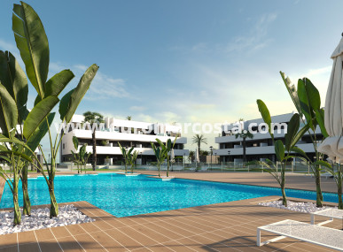 ground-floor - Nueva construcción  - Guardamar del Segura - Guardamar del Segura