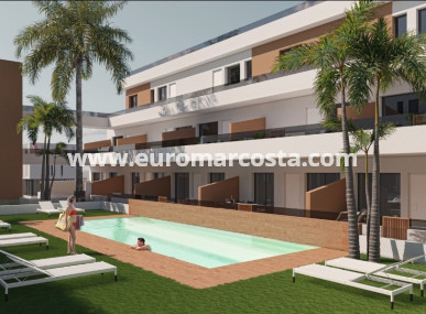 ground-floor - Nueva construcción  - Pilar de la Horadada - Pilar de la Horadada